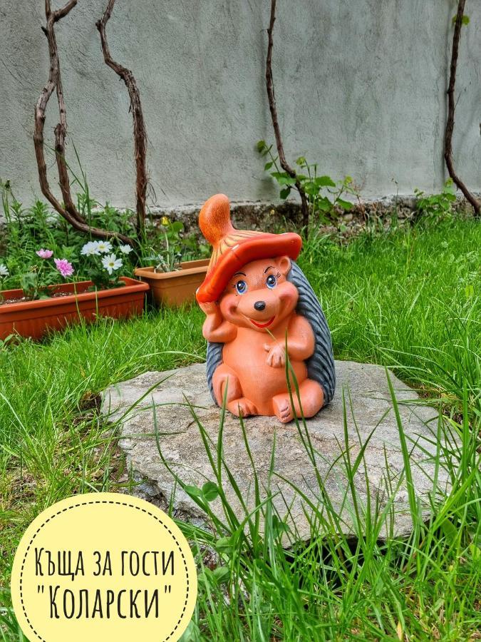 Къща За Гости Коларски Sapareva Banya Dış mekan fotoğraf